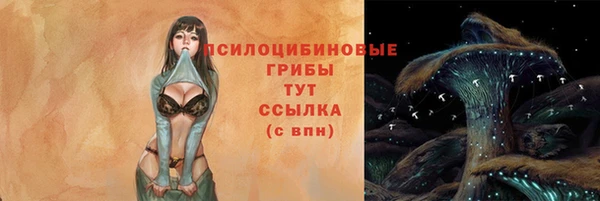 дмт Аркадак