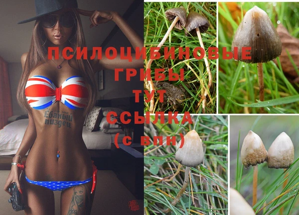 трава Армянск
